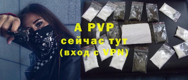 ГАЛЛЮЦИНОГЕННЫЕ ГРИБЫ Белоозёрский