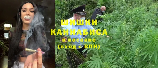 ГАЛЛЮЦИНОГЕННЫЕ ГРИБЫ Белоозёрский