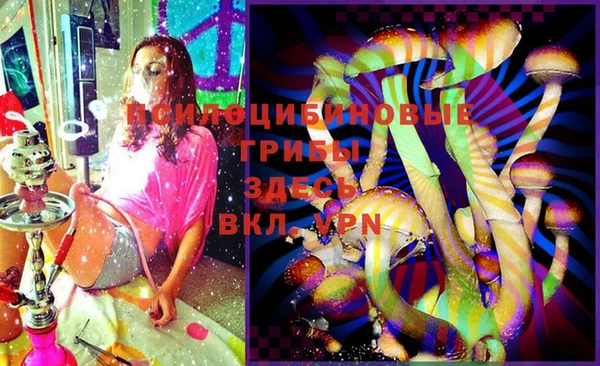 ГАЛЛЮЦИНОГЕННЫЕ ГРИБЫ Белоозёрский