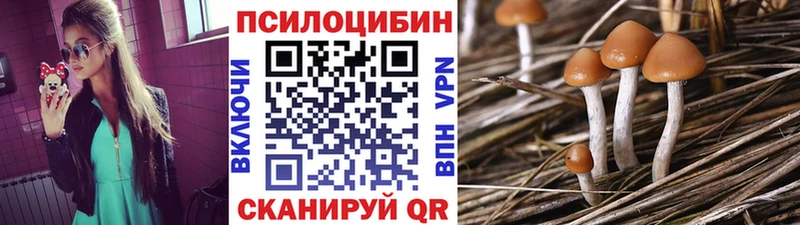 Псилоцибиновые грибы Psilocybe  Первоуральск 